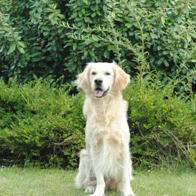 Sam